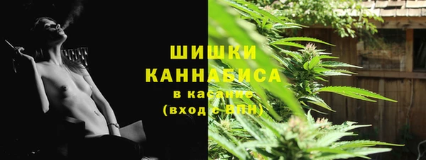 прущие крисы Абинск