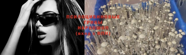 прущие крисы Абинск