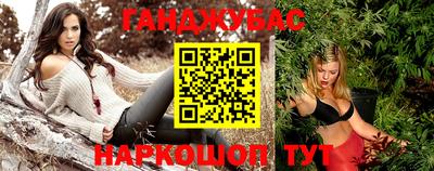 прущие крисы Абакан