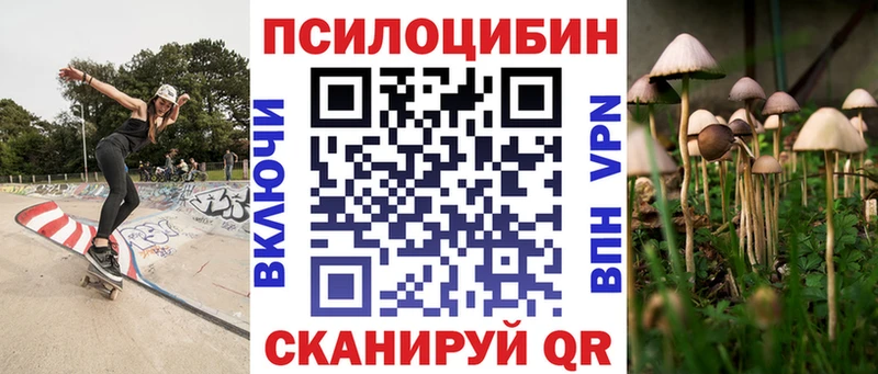 Псилоцибиновые грибы мицелий  Алексин 