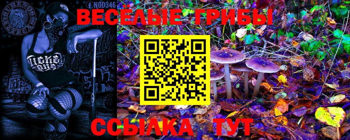 Алексин  Псилоцибиновые грибы Magic Shrooms  Вход с VPN  Псилоцибиновые грибы ЛСД 