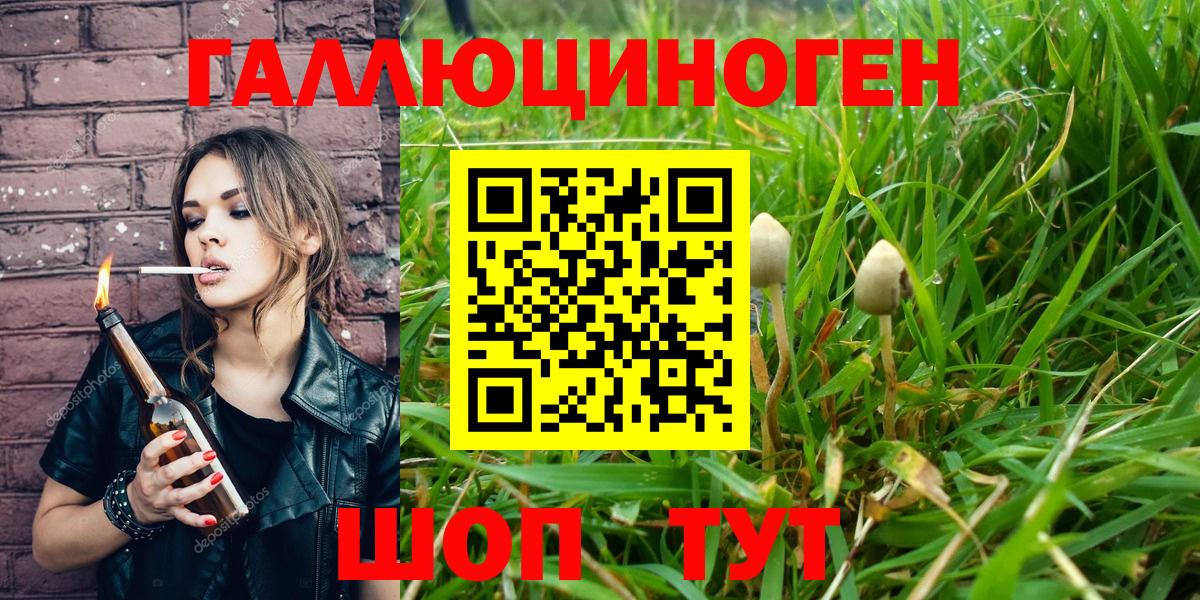 Галлюциногенные грибы мицелий Алексин